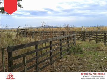 Campo de 60 hectáreas en Dos Naciones