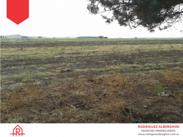 Campo de 60 hectáreas en Dos Naciones