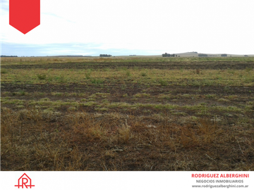 Campo de 60 hectáreas en Dos Naciones