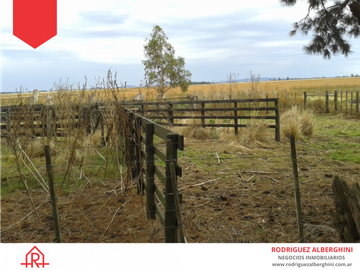 Campo de 60 hectáreas en Dos Naciones