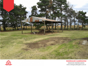Campo de 60 hectáreas en Dos Naciones