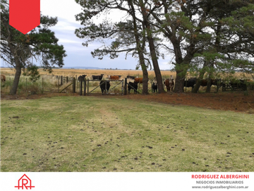 Campo de 60 hectáreas en Dos Naciones