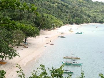 White sand beach front property FOR SALE in Sipalay City