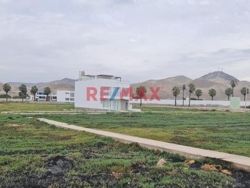 Terreno en Playa Los Reyes – Cerro Azul
¡Haz realidad la casa de playa de tus sueños! 🌊☀️

Este exclusivo terreno de 140 m² (7 metros de frontis po