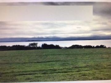 Agrícola en Venta en Ranco