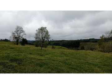 SE VENDE LOTE EN CIRCASIA
