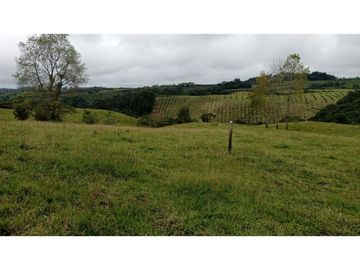 SE VENDE LOTE EN CIRCASIA