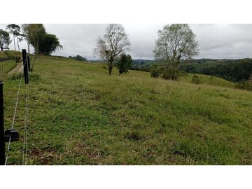 SE VENDE LOTE EN CIRCASIA