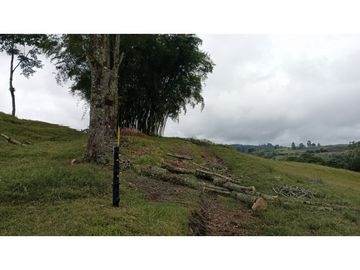 SE VENDE LOTE EN CIRCASIA