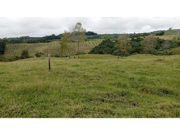 SE VENDE LOTE EN CIRCASIA
