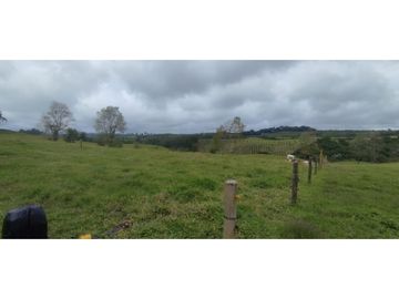 SE VENDE LOTE EN CIRCASIA