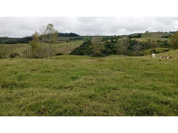 SE VENDE LOTE EN CIRCASIA