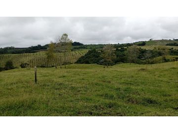 SE VENDE LOTE EN CIRCASIA
