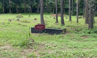Prime Lot for Sale in Promenade, Santa Rosa.