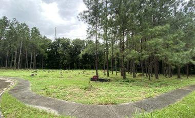 Prime Lot for Sale in Promenade, Santa Rosa.