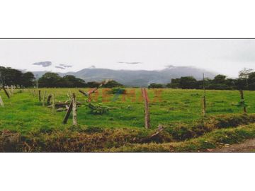Terreno En Oxapampa: 1.9203 Hectáreas De Naturaleza, Inversión Y Oportunidad Única