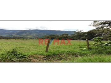 Terreno En Oxapampa: 1.9203 Hectáreas De Naturaleza, Inversión Y Oportunidad Única