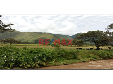 Terreno En Oxapampa: 1.9203 Hectáreas De Naturaleza, Inversión Y Oportunidad Única