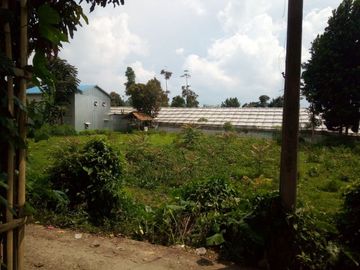 75 Tumbak Tanah Murah & Datar, Tugu 6 Tugumukti, Cisarua, Bandung Barat