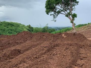 Lot for sale in Pililia Rizal