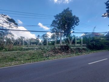 TANAH STRATEGIS DI JALAN RAYA TLOGOWARU  Investasi Langka di Koridor Pertumbuhan Kota Malang