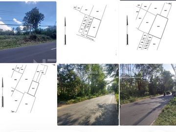 TANAH STRATEGIS DI JALAN RAYA TLOGOWARU  Investasi Langka di Koridor Pertumbuhan Kota Malang
