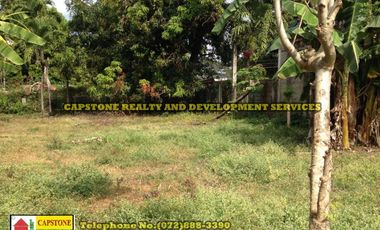 5,925 Sqm Lot For Sale, Bauang, La Union, Ilocos