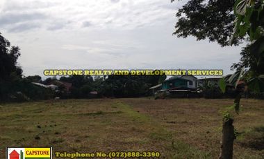 5,925 Sqm Lot For Sale, Bauang, La Union, Ilocos