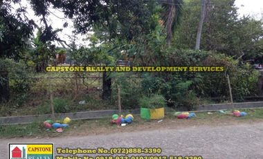 5,925 Sqm Lot For Sale, Bauang, La Union, Ilocos