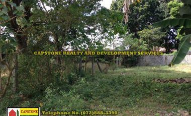 5,925 Sqm Lot For Sale, Bauang, La Union, Ilocos