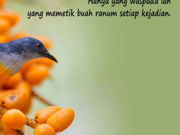TANAH CONCAT; KAVLING PREMIUM AKSES MUDAH DEKAT KAMPUS AMIKOM