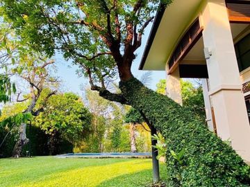 4 Bedroom House for sale in Buak Khang, Chiang Mai