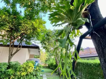 4 Bedroom House for sale in Buak Khang, Chiang Mai