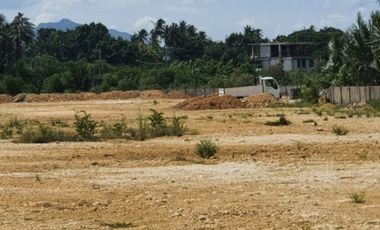 Most Affordable 100 SQM Beach Lot for Sale in Cotcot, Liloan Cebu