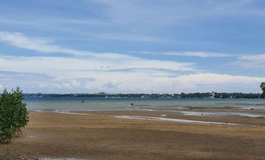 Most Affordable 100 SQM Beach Lot for Sale in Cotcot, Liloan Cebu