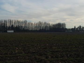 TERRENO DE 8 HECTÁREAS, A UN COSTADO DE CARRETERA 5 SUR.