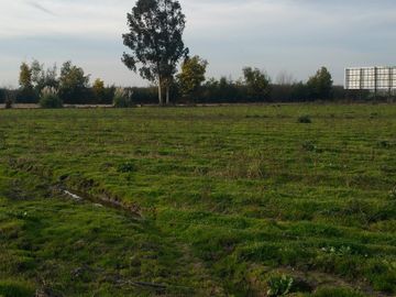 TERRENO DE 8 HECTÁREAS, A UN COSTADO DE CARRETERA 5 SUR.