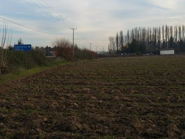 TERRENO DE 8 HECTÁREAS, A UN COSTADO DE CARRETERA 5 SUR.