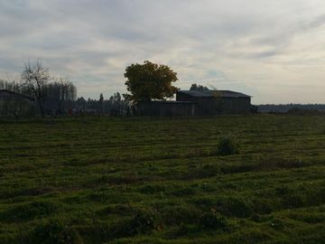 TERRENO DE 8 HECTÁREAS, A UN COSTADO DE CARRETERA 5 SUR.