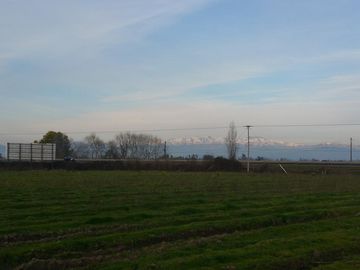 TERRENO DE 8 HECTÁREAS, A UN COSTADO DE CARRETERA 5 SUR.