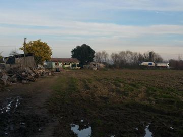 TERRENO DE 8 HECTÁREAS, A UN COSTADO DE CARRETERA 5 SUR.