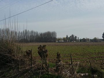 TERRENO DE 8 HECTÁREAS, A UN COSTADO DE CARRETERA 5 SUR.