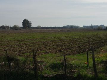 TERRENO DE 8 HECTÁREAS, A UN COSTADO DE CARRETERA 5 SUR.