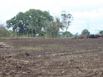 Kavling Standart Perumahan, Dekat Jl. Daendels, SHM