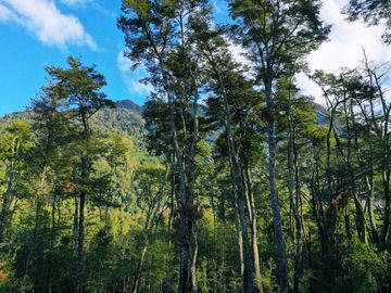 Parcela sector Arenal