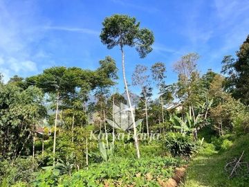 Tanah Cocok Dibangun Villa Kemuning Karanganyar