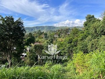 Tanah Cocok Dibangun Villa Kemuning Karanganyar