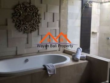 Villa Komplek Di Batu Belig Seminyak