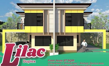 Luxurious 2-Storey Single Houses in Anami Homes Consolacion
