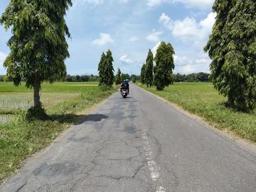 Timur Pasar Grabag: Cocok Hunian & Villa